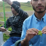 Aufkranzen_Habib_Saifur