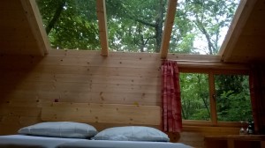 1973411_924564007600189_3014884555028598106_o