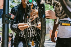 IntegRADsion_Vice_BS-2