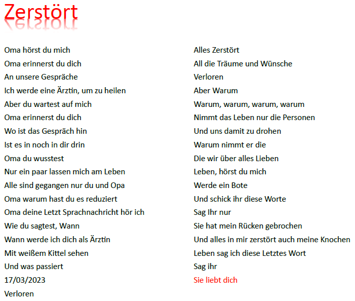 "Zerstört" - Zahraa